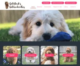 Goldilocksgoldendoodles.com(Goldendoodle puppies for sale in Texas) Screenshot