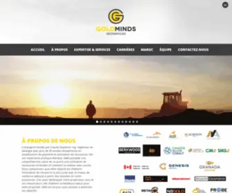 Goldmindsgeoservices.com(Goldmindsgeoservices) Screenshot