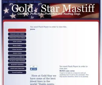Goldstarmastiffguardogs.com(Gold Star Mastiff cane corso) Screenshot