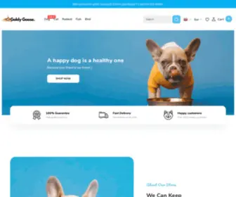 Goldygoose.com(Goldy Goose) Screenshot