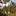 Gongurafarm.com Favicon