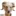 Gonna-Jaccs.jp Favicon