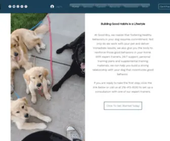 Goodboyllc.com(Good Boy) Screenshot