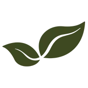 Goodhealthsa.co.za Favicon