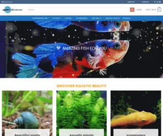 Goodjosephlivefishstore.com(Goodjoseph Live Fish Store) Screenshot