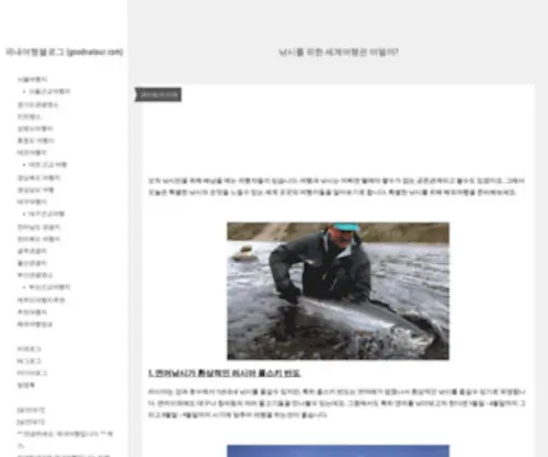 Goodnatour.com(국내여행블로그) Screenshot