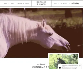 Goodpony.net(Connemara Ponies for Dressage and Combined Training) Screenshot