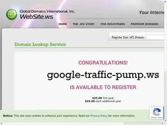Google-Traffic-Pump.ws(Your Internet Address For Life) Screenshot