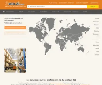 Goolzi.com(Grossiste et marchandise en destockage) Screenshot
