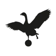 Goosewinged.com Logo