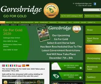 Goresbridgegoforgold.com(Goresbridge Go For Gold Sale) Screenshot