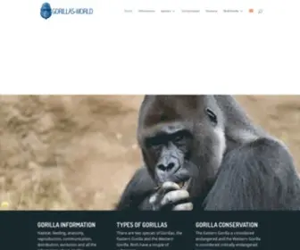 Gorillas-World.com(Gorilla Facts and Information) Screenshot