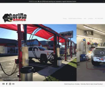 Gorillashinedetailing.com(Layton's best car wash and car detail shop. our automatic tunnel wash) Screenshot