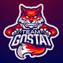 Gostat.fr Favicon