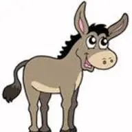 Gotdonkeys.com Favicon