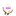 Gotohhi.org Favicon