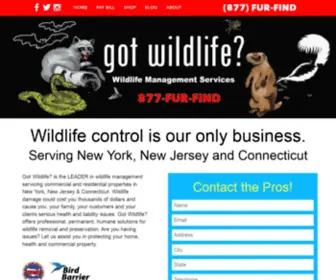 Gotwildlifepro.com(Raccoon removal) Screenshot