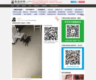 Goupaidui.com(狗派对网) Screenshot