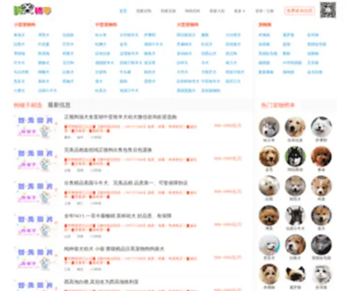 Goupuzi.com(宠物狗) Screenshot
