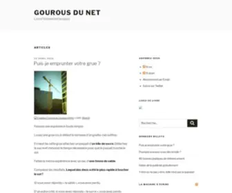 Gourous-DU-Net.com(Gourous du Net) Screenshot