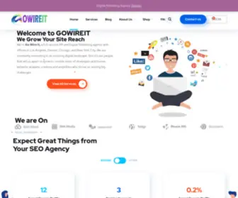 Gowireit.com(Digital Marketing Agency) Screenshot