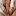 Gozarhoje.com Favicon