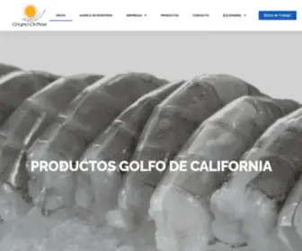 Gpoochoa.com(Grupo Ochoa) Screenshot