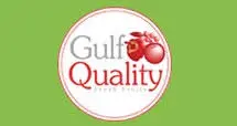 GQFF-Qatar.com Favicon