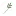 Graceandvinestudios.com Favicon