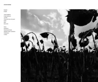 Gracielaiturbide.org(Graciela Iturbide) Screenshot