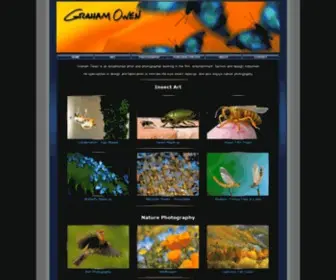 Grahamowengallery.com(Graham Owen) Screenshot