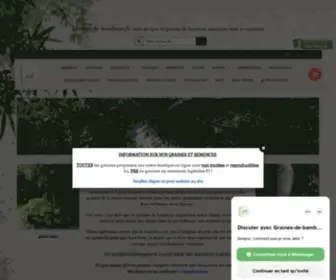 Graines-DE-Bambous.fr(Graines de Bambous : Vente de graines rares et semences pour le jardin Achat de graines de bambous et semences moins chères) Screenshot