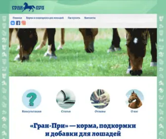 Grandp.spb.ru(ООО) Screenshot