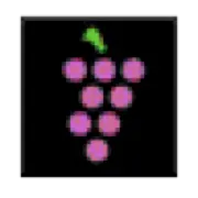 Grapegraphics.com Favicon