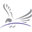 Grayfalcons.com Favicon
