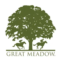 Greatmeadow.org Favicon