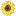 Greatsunflower.org Logo