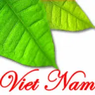 Green-Vietnam.com Favicon