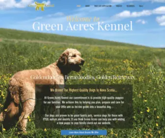 Greenacreskennel.ca(At Green Acres Kennel we breed the highest quality dogs in Nova Scotia. Our commitment) Screenshot