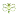 Greenbee-Learn.com Favicon