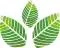 Greenclean.com.au Favicon