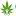 Greendreamshempshop.it Favicon