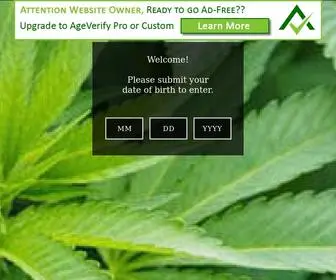 Greenenvymeds.com(Green Envy Collective) Screenshot