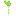Greenerroots.com Logo