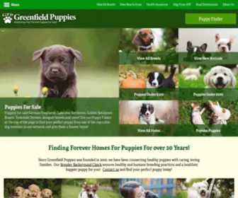 Greenfieldpuppies.com(Puppies for Sale) Screenshot
