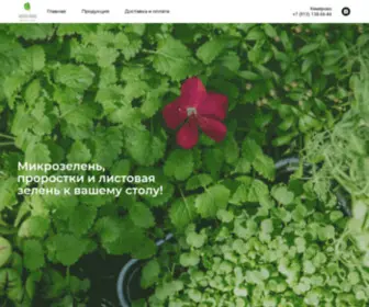 Greenfoods-Kemerovo.ru(Гринфуд Кемерово) Screenshot