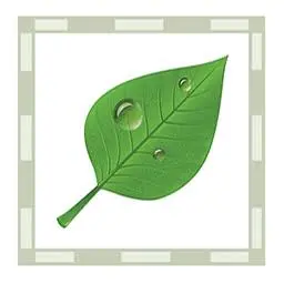 Greenleafmitigation.com Favicon