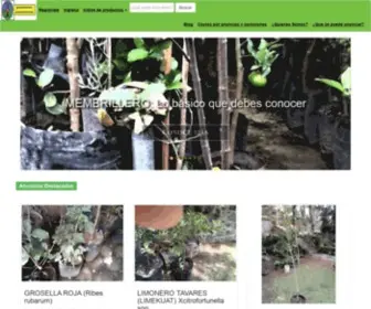 Greenmarket.com.mx(Home) Screenshot