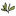 Greenomiqs.com Favicon