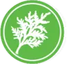 Greenracingproject.com Logo